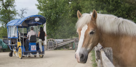 Projekt und Standort